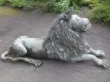 le lion couché